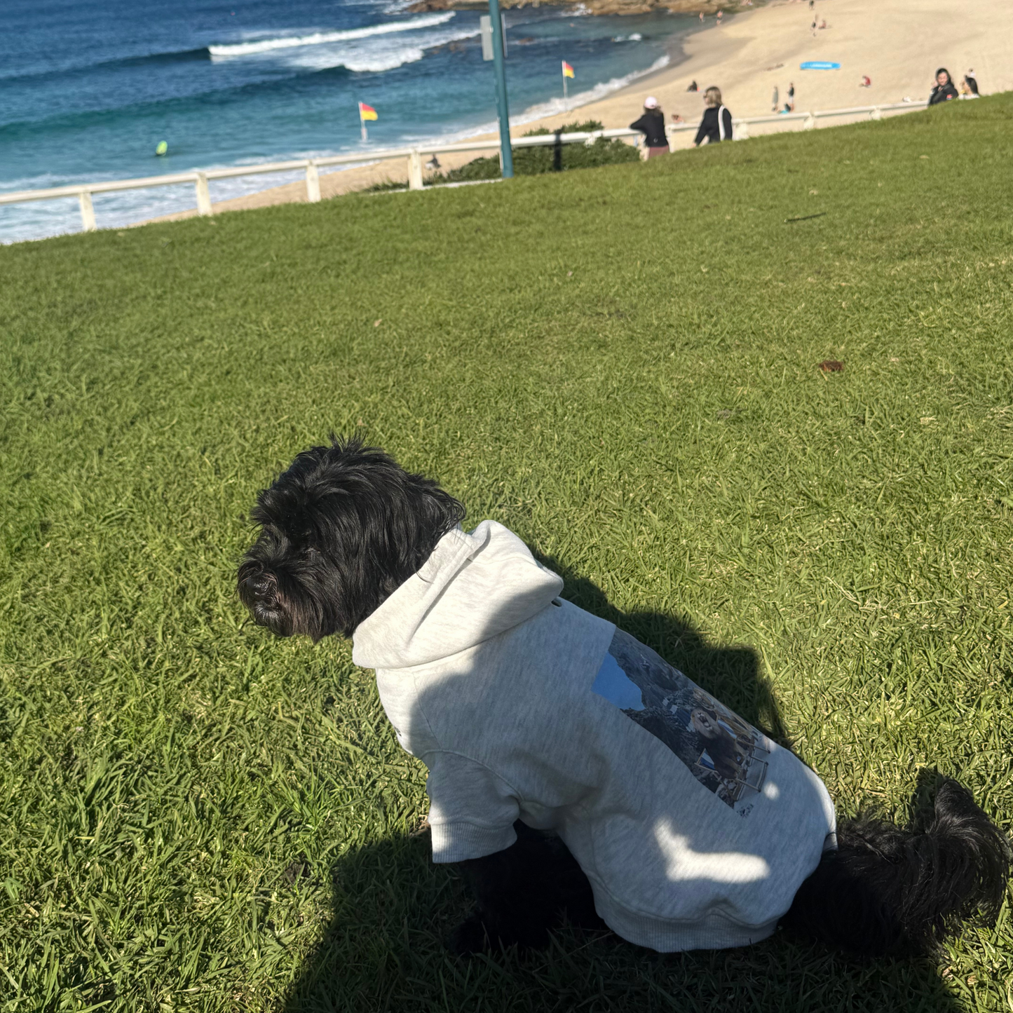 Capri Pup Hoodie