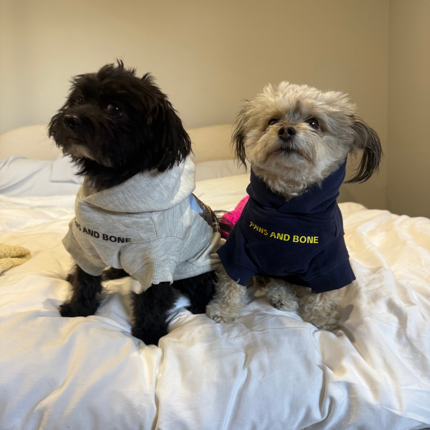 Capri - Human & Pup Bundle